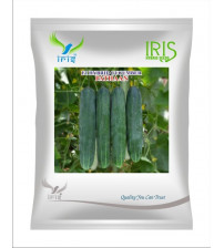 Cucumber / Kakri F1 Iris Pathaan - 20 grams